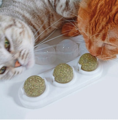 Catnip Para Gatos